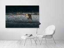 Load image into Gallery viewer, 5181787-1180821
