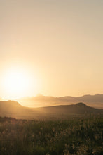 Load image into Gallery viewer, SUNSET GOLD
