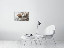 Load image into Gallery viewer, 5181822-1180771
