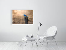 Load image into Gallery viewer, 5181752-1180962
