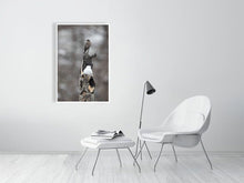 Load image into Gallery viewer, 5181767-1180980
