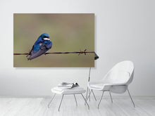 Load image into Gallery viewer, 5181750-1180985
