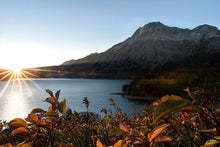 Load image into Gallery viewer, SUNRISE
