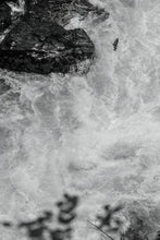 Load image into Gallery viewer, STAMP RIVER RUN
