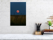 Load image into Gallery viewer, 5181728-1180654
