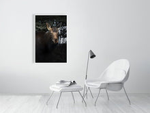 Load image into Gallery viewer, 5181802-1180812
