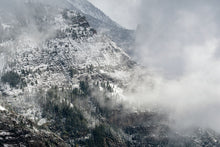 Load image into Gallery viewer, TREELINE
