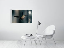 Load image into Gallery viewer, 5181754-1180992
