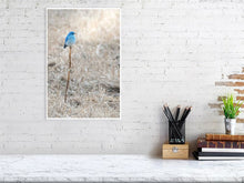 Load image into Gallery viewer, 5181763-1181022
