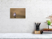 Load image into Gallery viewer, 5181740-1186860
