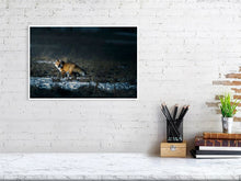 Load image into Gallery viewer, 5181789-1180822
