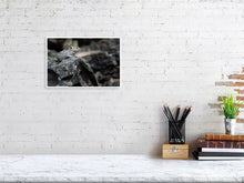 Load image into Gallery viewer, 5181811-1186846
