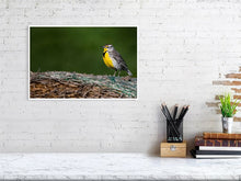 Load image into Gallery viewer, 5181746-1181006
