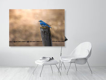 Load image into Gallery viewer, 5181752-1180963
