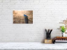 Load image into Gallery viewer, 5181752-1186875
