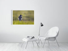 Load image into Gallery viewer, 5181748-1181012
