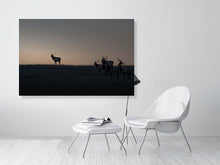 Load image into Gallery viewer, 5181805-1180789
