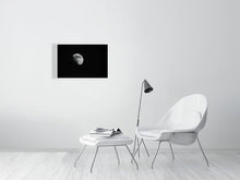 Load image into Gallery viewer, 5181721-1180667
