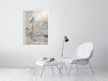 Load image into Gallery viewer, 5181763-1181024
