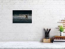 Load image into Gallery viewer, 5181787-1186835
