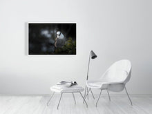 Load image into Gallery viewer, 5181756-1181020
