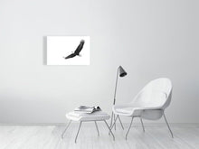 Load image into Gallery viewer, 5181742-1181003
