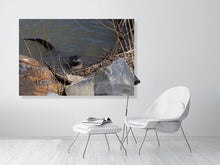 Load image into Gallery viewer, 5181818-1180769
