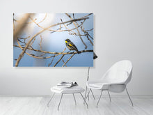 Load image into Gallery viewer, 5181769-1180967
