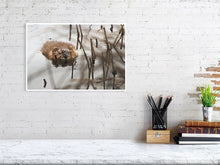 Load image into Gallery viewer, 5181822-1180770
