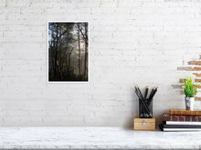 Load image into Gallery viewer, 5181705-1186859
