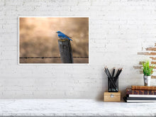 Load image into Gallery viewer, 5181752-1180960
