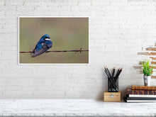 Load image into Gallery viewer, 5181750-1180982
