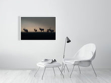 Load image into Gallery viewer, 5181804-1180784
