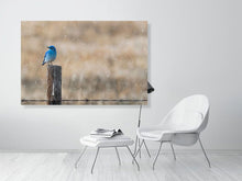 Load image into Gallery viewer, 5181760-1180989
