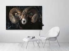 Load image into Gallery viewer, 5181798-1180801
