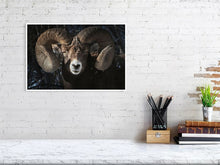 Load image into Gallery viewer, 5181798-1180798
