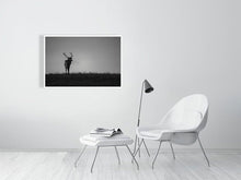 Load image into Gallery viewer, 5181808-1180792
