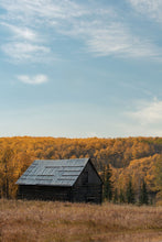 Load image into Gallery viewer, AUTUMN
