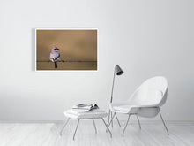 Load image into Gallery viewer, 5181740-1181000

