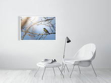 Load image into Gallery viewer, 5181769-1180966
