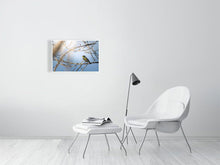 Load image into Gallery viewer, 5181769-1180965
