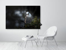 Load image into Gallery viewer, 5181756-1181021
