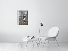 Load image into Gallery viewer, 5181767-1180979
