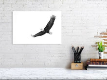 Load image into Gallery viewer, 5181742-1181002
