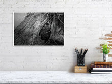 Load image into Gallery viewer, 5181816-1180762
