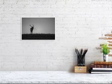 Load image into Gallery viewer, 5181808-1186845
