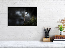 Load image into Gallery viewer, 5181756-1186873
