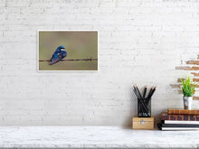 Load image into Gallery viewer, 5181750-1186876
