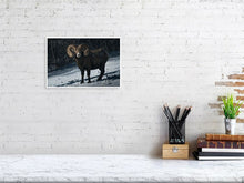 Load image into Gallery viewer, 5181796-1186838
