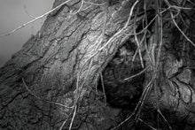 Load image into Gallery viewer, HIDEOUT
